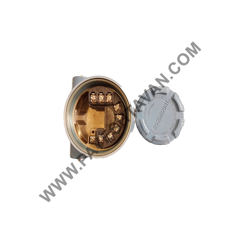 ترانسمیتر دماTEMPERATURE TRANSMITTER3144P